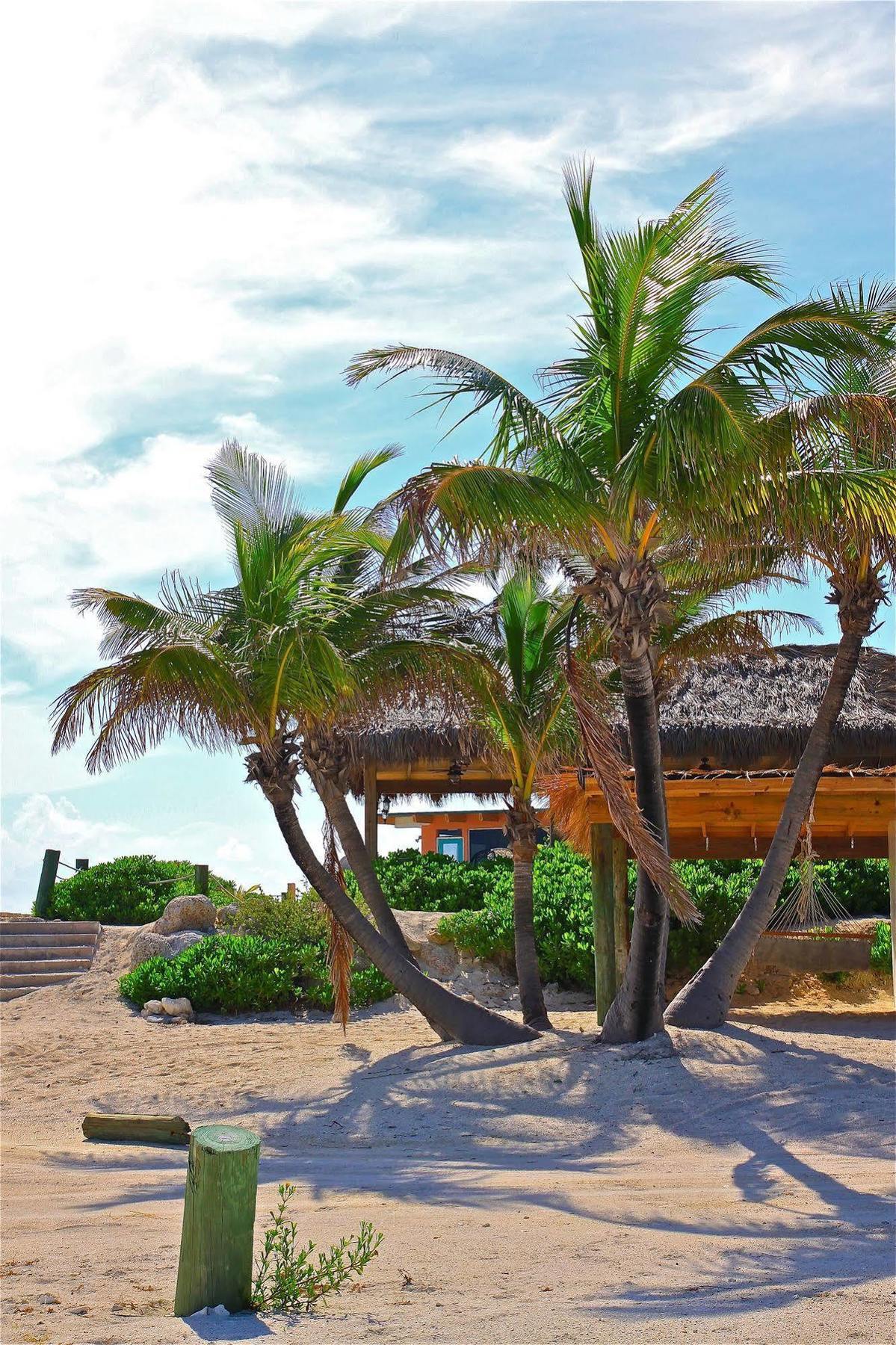 Bimini Sands Resort & Marina Exterior photo